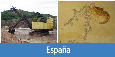 Defensa del Patrimonio