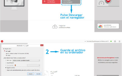 Instrucciones descarga