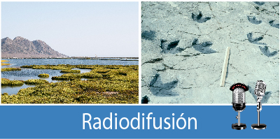 radiodifusion