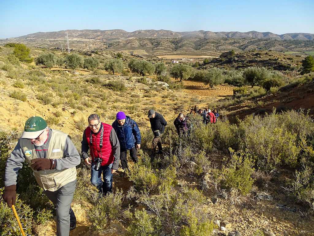cantera valfonda4