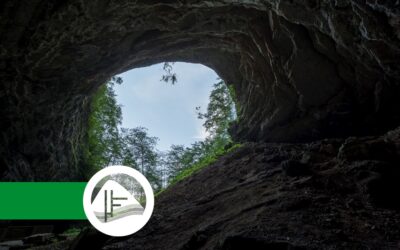 Curso de Geología, Mineralogía y Medio Ambiente por Navarra