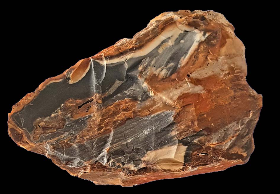 Figura 7. Calcedonia negra aurífera, corta 2 (nivel 260), Cerro del Cinto, Minas de Rodalquilar, Almería. Tamaño: 6,5x5x3 cm. Col. y foto: N. Gaspar.