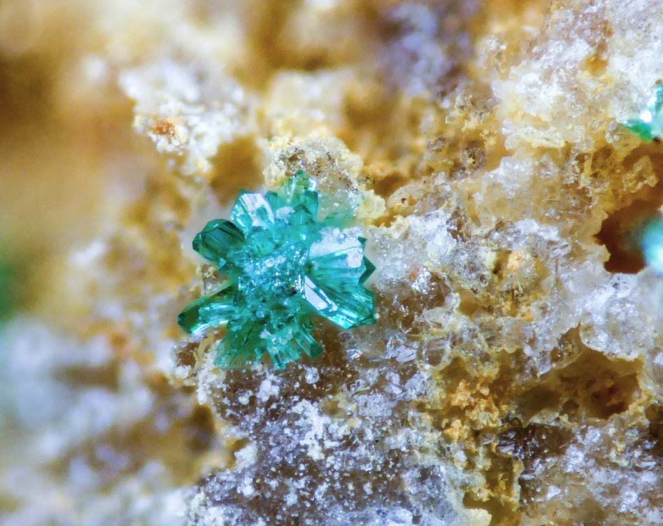 Figura 11. Atacamita. Grupo de cristales de 1 mm sobre cuarzo oqueroso. Dique 7, Cerro de Cinto (Rodalquilar). Foto y colección Borja Sainz de Baranda.
