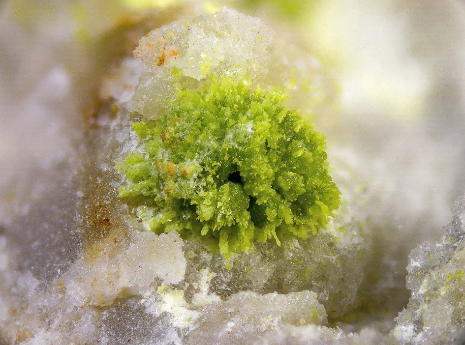 Figura 12. Emmonsita. Agregado botrioidal sobre cuarzo, de 1 mm de diámetro, procedente del Dique 2, Cerro del Cinto (Rodalquilar). Colección Ignacio Gaspar, foto Borja Sainz de Baranda.