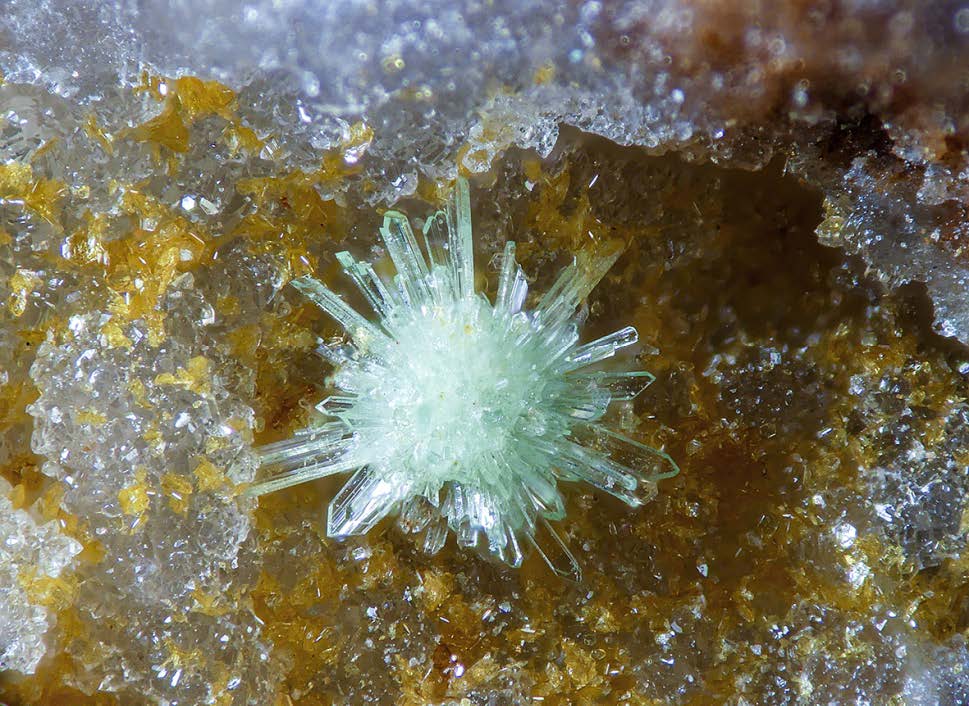 Figura 16. Mandarinoita. Grupo de cristales en disposición radial en una geoda de cuarzo. Diámetro del grupo: 1 mm. Dique 2, Cerro del Cinto. Colección Ignacio Gaspar. Foto Borja Sainz de Baranda.