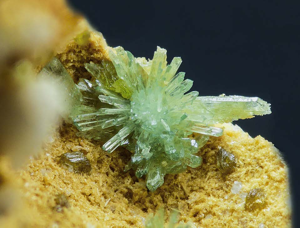 Figura 17. Mandarinoita. Grupo de cristales de mandarinoita asociados con sonoraita. Campo de visión 4 mm. Dique 2, Cerro del Cinto. Colección Ignacio Gaspar. Foto Borja Sainz de Baranda.