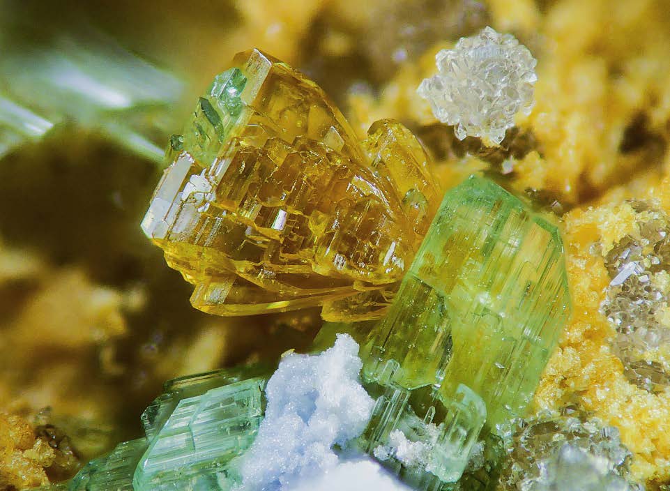 Figura 23. Cristales amarillos de poughita de 1 mm de tamaño asociados con mandarinoita (verde). Dique 2, Cerro del Cinto. Foto y colección Borja Sainz de Baranda.