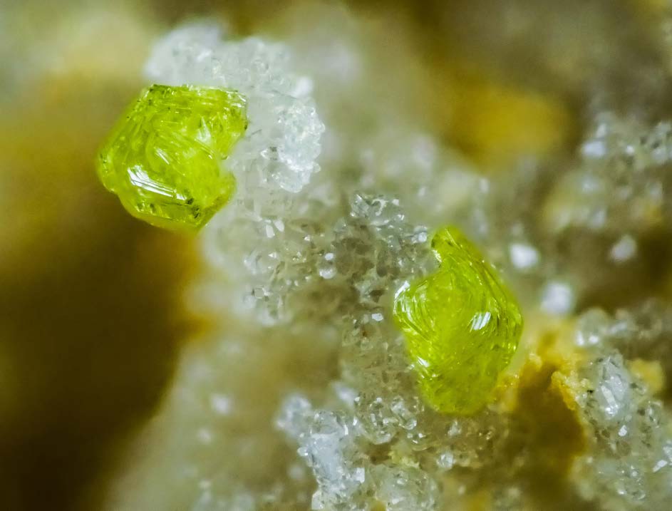 Figura 27. Rosetas de cristales de sonoraita de 0,5 mm cada una. Dique 2, Cerro del Cinto. Foto y colección Borja Sainz de Baranda.