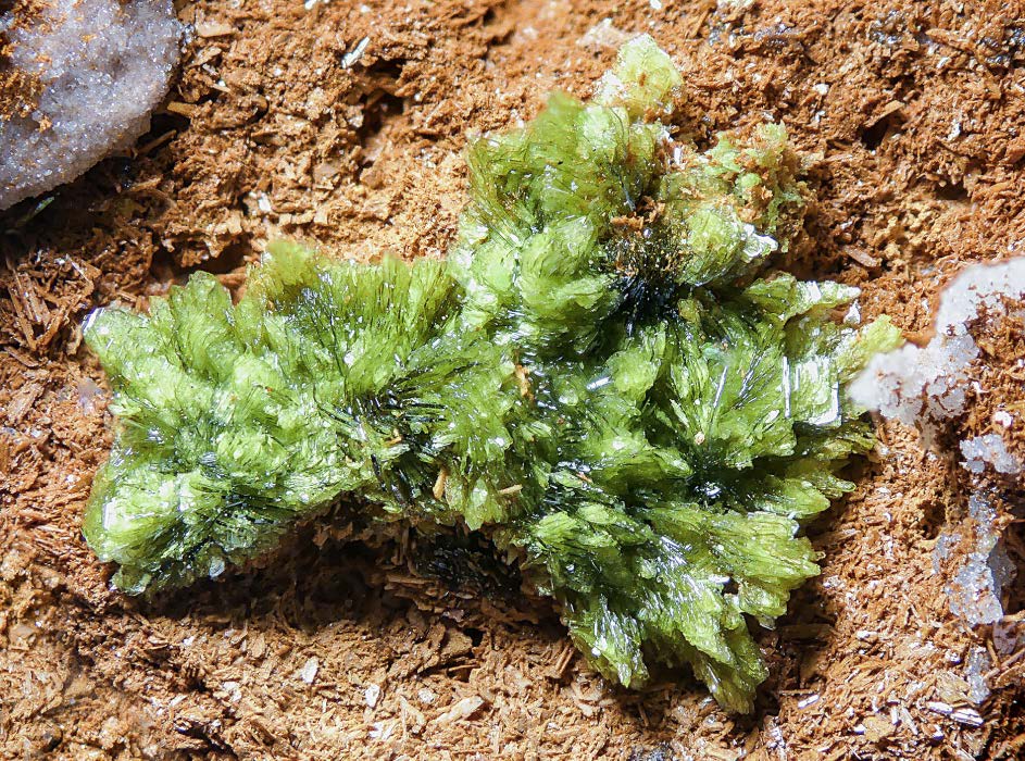 Figura 29. Sonoraita, uno de los mayores grupos de cristales recuperados en el Dique 2, 12 mm. Colección Ignacio Gaspar, foto Borja Sainz de Baranda.