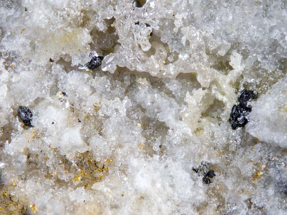 Figura 32. Cristales negros redondeados de teluro nativo de hasta 0,5 mm asociados con oro en cuarzo. Dique 2, Cerro del Cinto. Foto y colección Borja Sainz de Baranda.