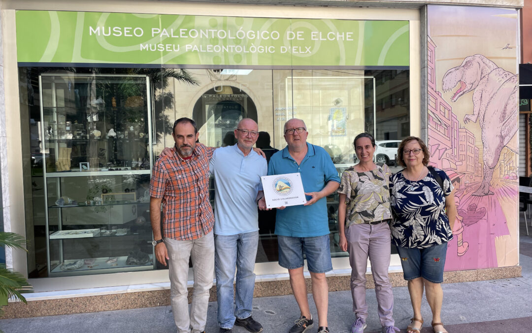 Museo Paleontológico de Elche (MUPE) - Entrega del Sello Distintivo SEDPGYM