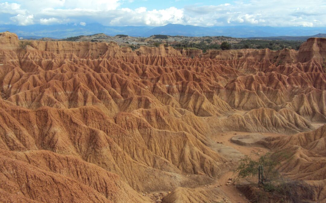 Yacimiento Paleontológico de la Venta