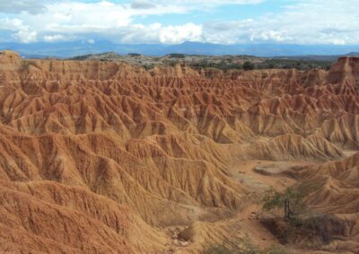 Yacimiento Paleontológico de la Venta