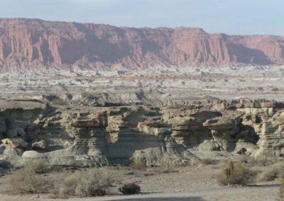 El Triásico de la Cuenca de Ischigualasto-Talampaya