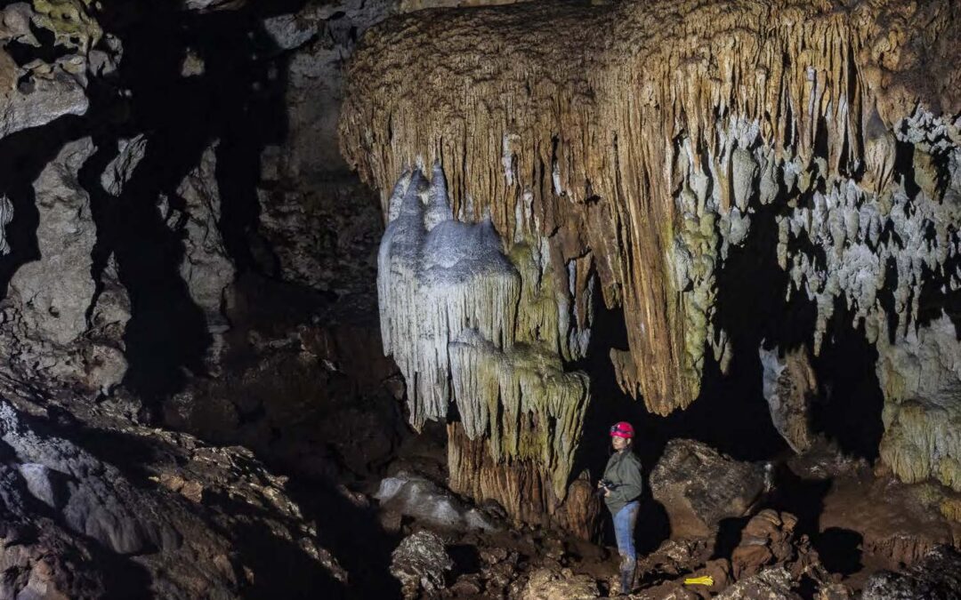 Cueva de Paredones
