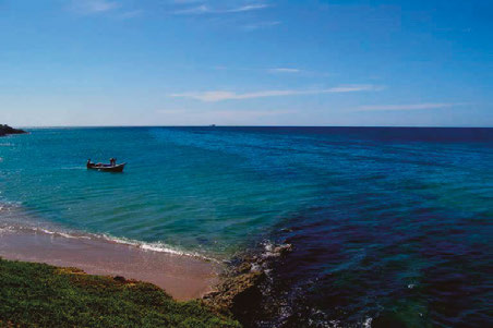 Figura 9. Rezumadero histórico de petróleo (mene) en Punta La Brea, en el oeste de la isla de Cubagua. Burbujas de gas natural y petróleo crudo brotan a la superficie del mar, dejando un rastro visible en las aguas de la costa noroeste a lo largo de varios kilómetros. Fotografía de Kum y López (2007). Figura 9. Historical oil seep (mene) at Punta La Brea, western Cubagua Island. Natural gas bubbles and crude oil seep to the sea surface, leaving a visible trail in the waters off the northwestern coast for several kilometers. Photo by Kum & López (2007).