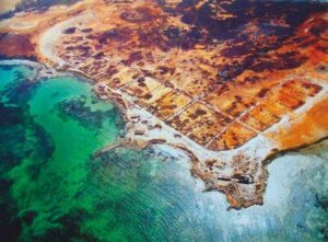 Figura 14. Vista aérea de las ruinas de la ciudad de Nueva Cádiz, situada en el extremo nororiental de la isla de Cubagua, donde se aprecian los restos de edificaciones de piedra, así como el trazado de la calle principal paralela a la costa—de unos 300 metros de longitud— y su entramado de calles perpendiculares. La ciudad contaba con una plaza mayor, en torno a la cual se encontraban la iglesia y el ayuntamiento. Nueva Cádiz, considerada la primera ciudad hispánica en Sudamérica y la primera fundada en el territorio de la actual Venezuela, constituye hoy un importante conjunto arqueológico declarado Monumento Histórico Nacional en noviembre de 1979. Figure 14. Aerial view of the ruins of the city of Nueva Cádiz, located on the northeastern tip of Cubagua Island, showing the remains of stone buildings, as well as the layout of the main street parallel to the coast—approximately 300 meters long—and its network of perpendicular streets. The city had a main square, around which the church and the town hall were located. Nueva Cádiz, considered the first Hispanic city in South America and the first founded in what is now Venezuela, is today an important archaeological site declared a National Historic Monument in November 1979.